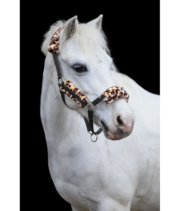 Fohlen- & Shetty-Teddyfleece-Halfter Cozy Adjustable