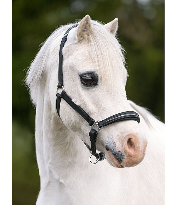 Fohlen- und Shetty-Lederhalfter Selina mit Glitzersteinen