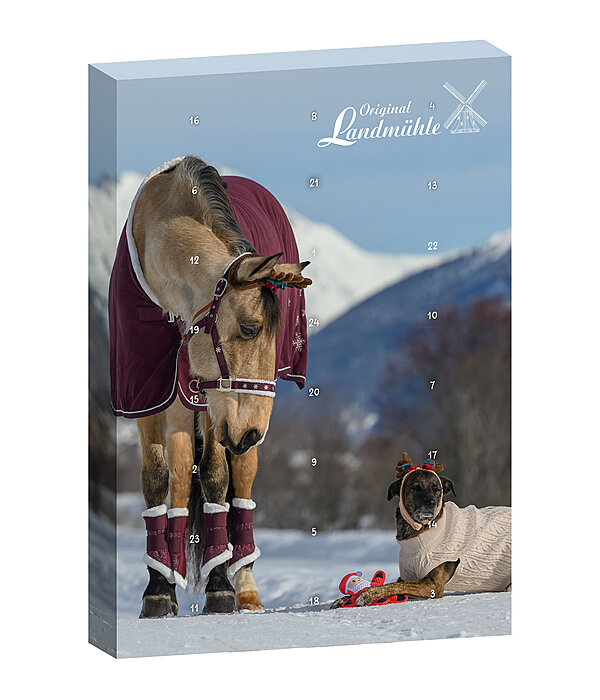 Adventskalender fr Pferde