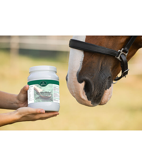 Spirulina-Pellets