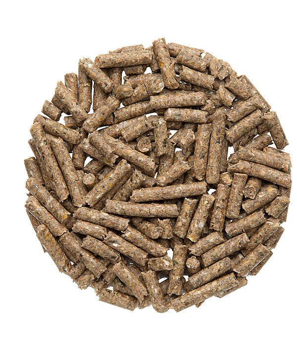 BASIC Kraftfutter-Pellets