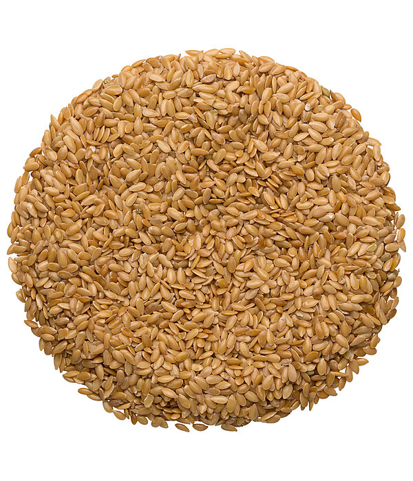 Leinsamen gelb