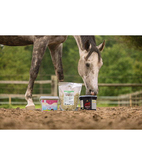 Kr�utermischung Senior