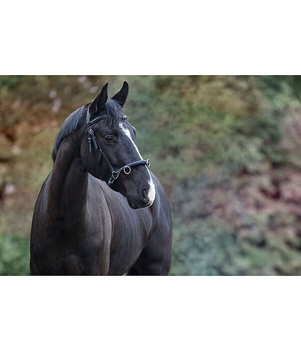 Leder-Kappzaum Soft & Light