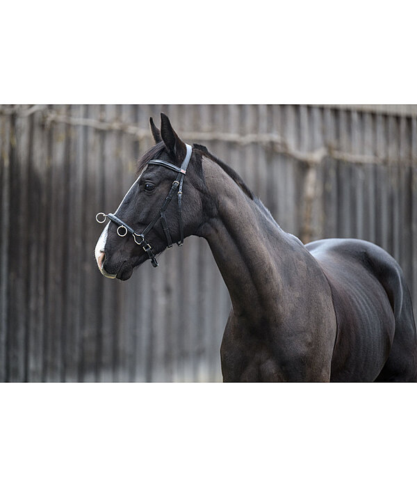 Leder-Kappzaum Soft & Light