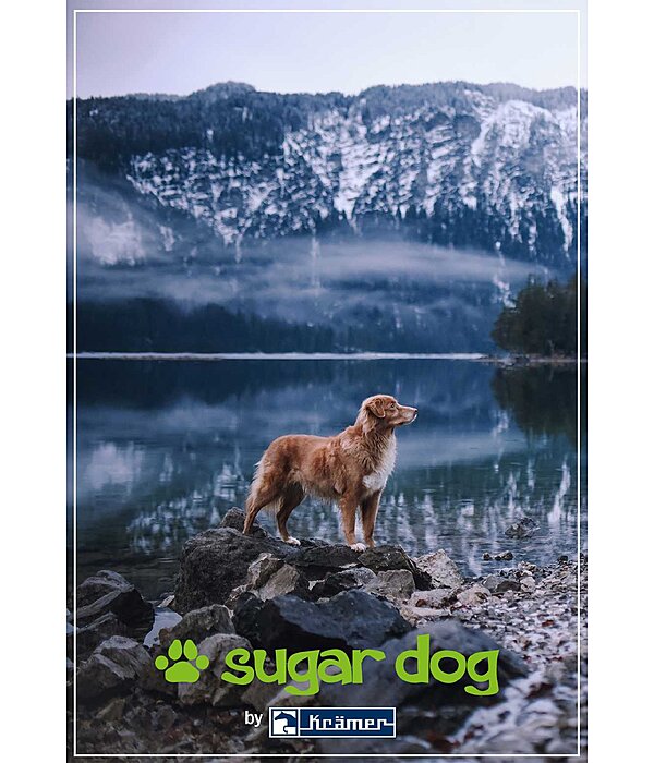 Geschenkgutschein zum Ausdrucken